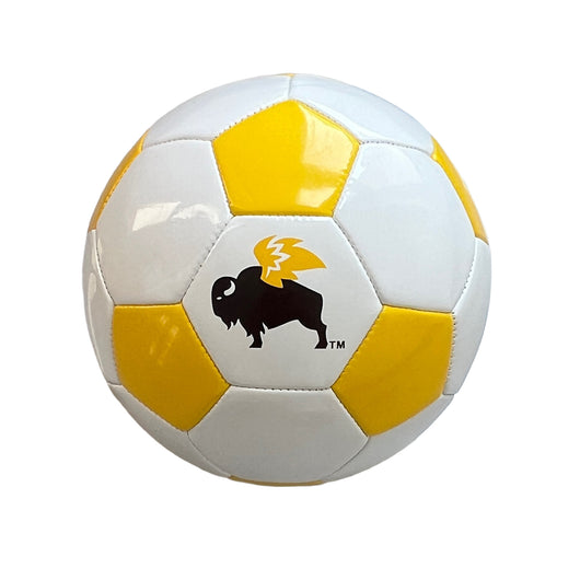 Youth Soccer Ball