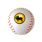 10 Pack of Stress Balls