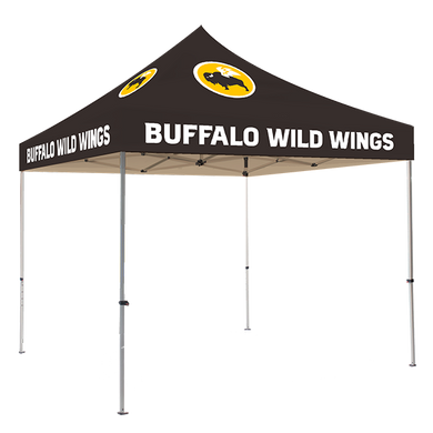 10' x 10' Tent Canopy