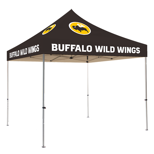 10' x 10' Tent Canopy